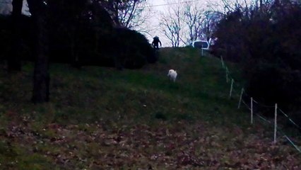 petite descente en VTT