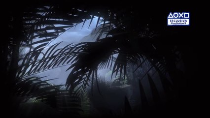 Uncharted 4 - bundle con console in edizione limitata