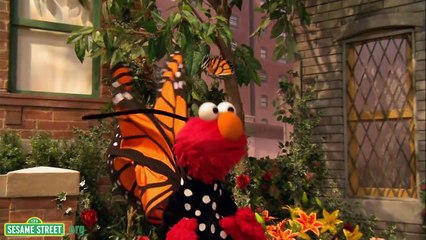 Sesame Street: Song: Little Butterfly Friend