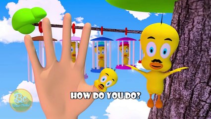 Tweety Bird Finger Family | Nursery Rhymes | 3D Animation In HD From Binggo Channel