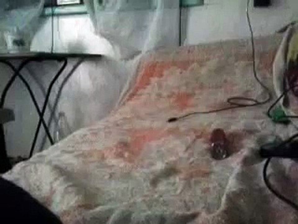 явление природы