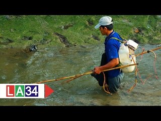 Mạnh tay xử lý đánh cá bằng xung điện | LATV