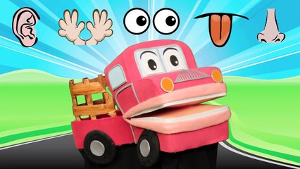 Los Cinco Sentidos - Barney El Camion - Canciones Infantiles - Video para niños #