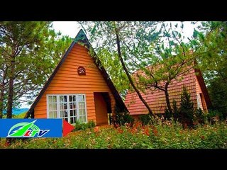 Đến Đà Lạt, nghỉ ở Bungalow | LTV