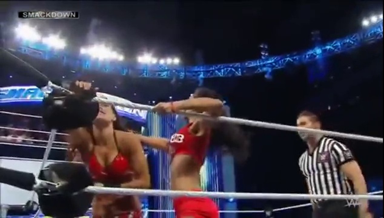 WWE SmackDown! 112114 Brie Bella (w Nikki Bella) vs. AJ Lee