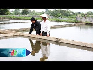 "Tỷ phú nông dân" từ nuôi cá giống | HDTV