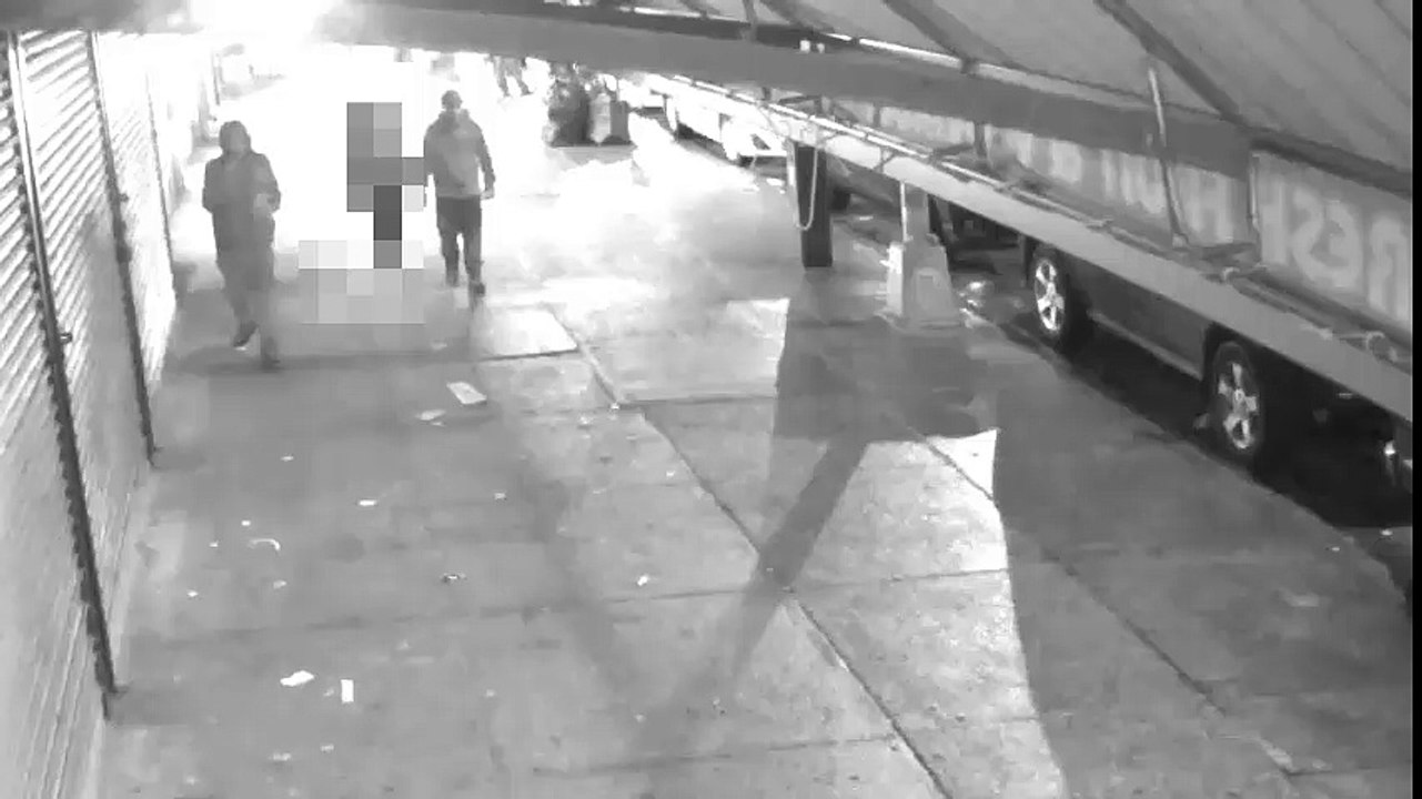 Suspects In Vicious Bronx Attack on 2/21