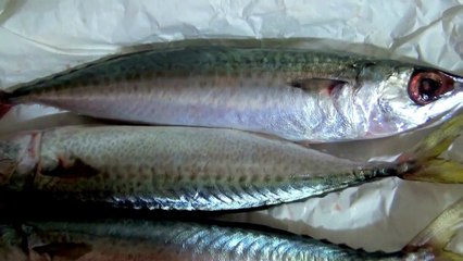 Жареная Скумбрия. Простой и Быстрый Рецепт