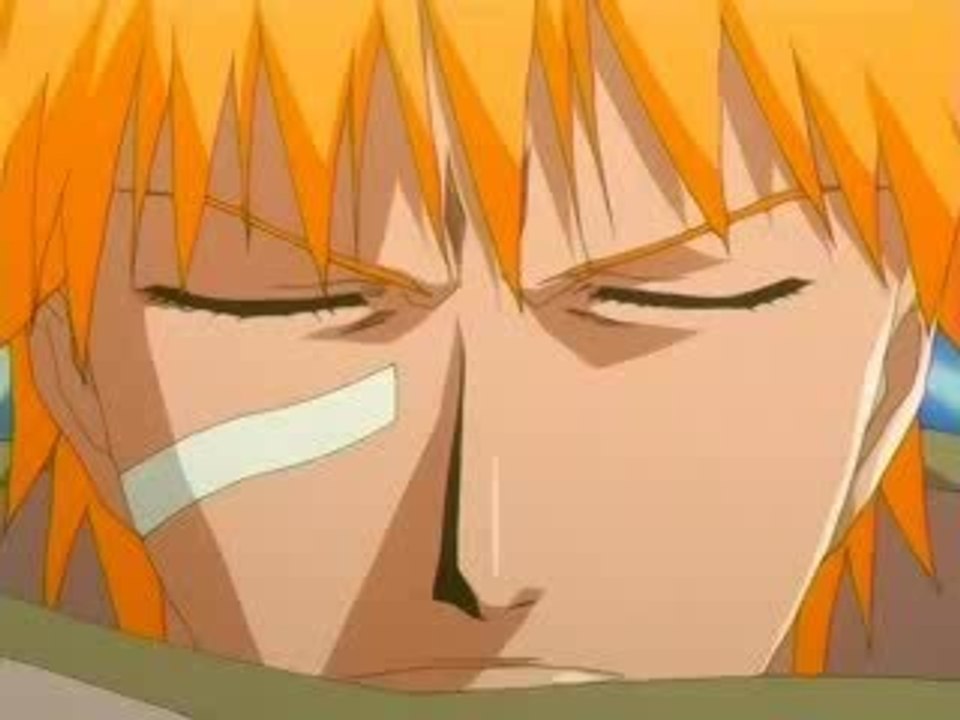 1er AMV Bleach