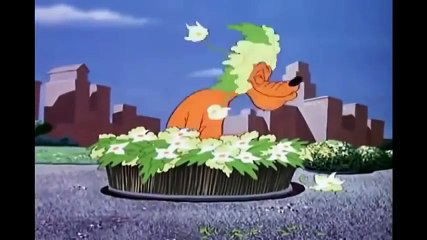 New 2016 Donald The Duck with Spike the Bee- Funny Cartoons full movies for children