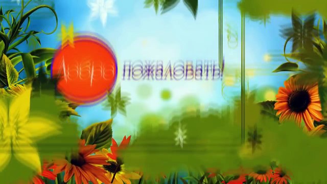 Лук репчатый в народной медицине. Лечение луком, свойства народные рецепты