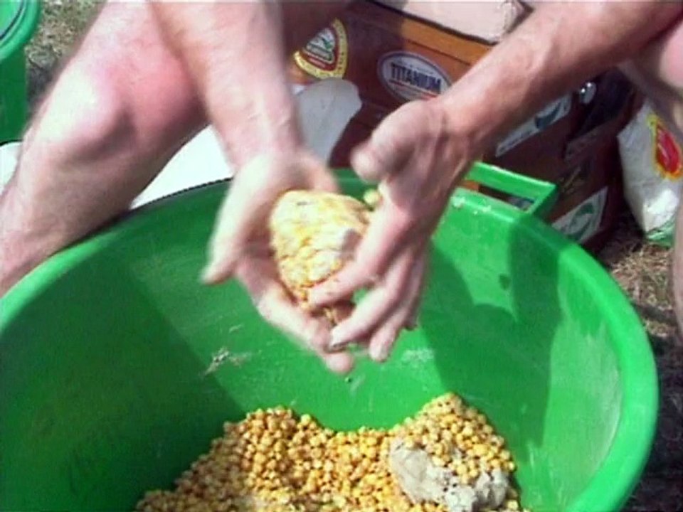 Pêche de la carpe avec les Frères Mahin