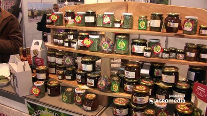 Nekoliko zanimljivih činjenica o smokvama_437_30.01.2016.