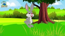 เพลงเด็กดี กระต่าย | เพลงเด็ก | Thai kids songs