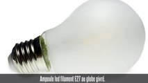 Ampoule led filament E27, 6W, 800 lm, blanc chaud, globe givré