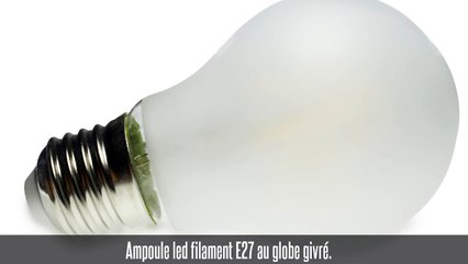 Ampoule led filament E27, 6W, 800 lm, blanc chaud, globe givré