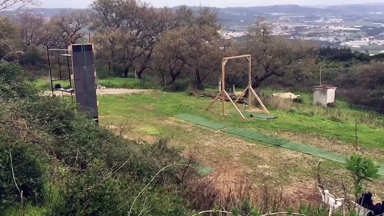Saut en longueur pour chien