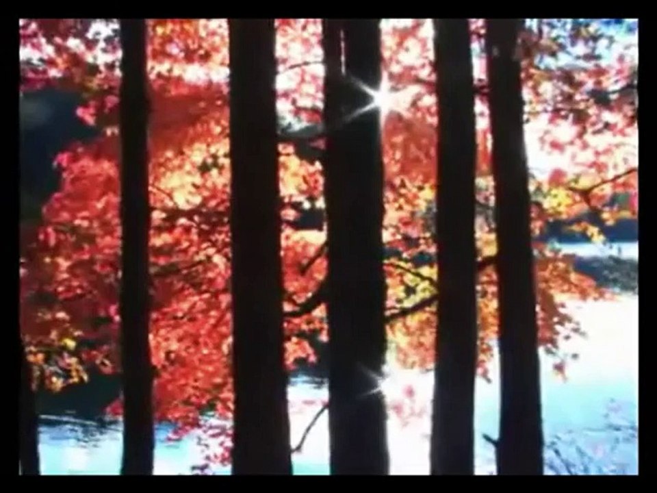 NehirSesli.Com - Gülüm Gülüm Osman Öztunç SesliSohbet SesliChat SesliSiteler