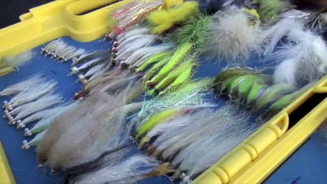 Lake Havasu Bass Fishing and Suburban Carping (1 of 4)