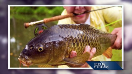 Redfish Paradise (4 of 4)