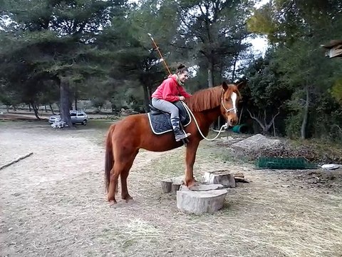 Challenge 10 - Steph et Lali : Parcours d'embûches en selle avec contrôle des antérieurs, postérieurs et depl. latéral
