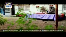 Watch Dil-e-Barbad Episode – 204 – 23rd February 2016 on ARY Digital