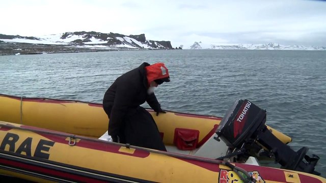 Патриарх Кирилл и пингвины