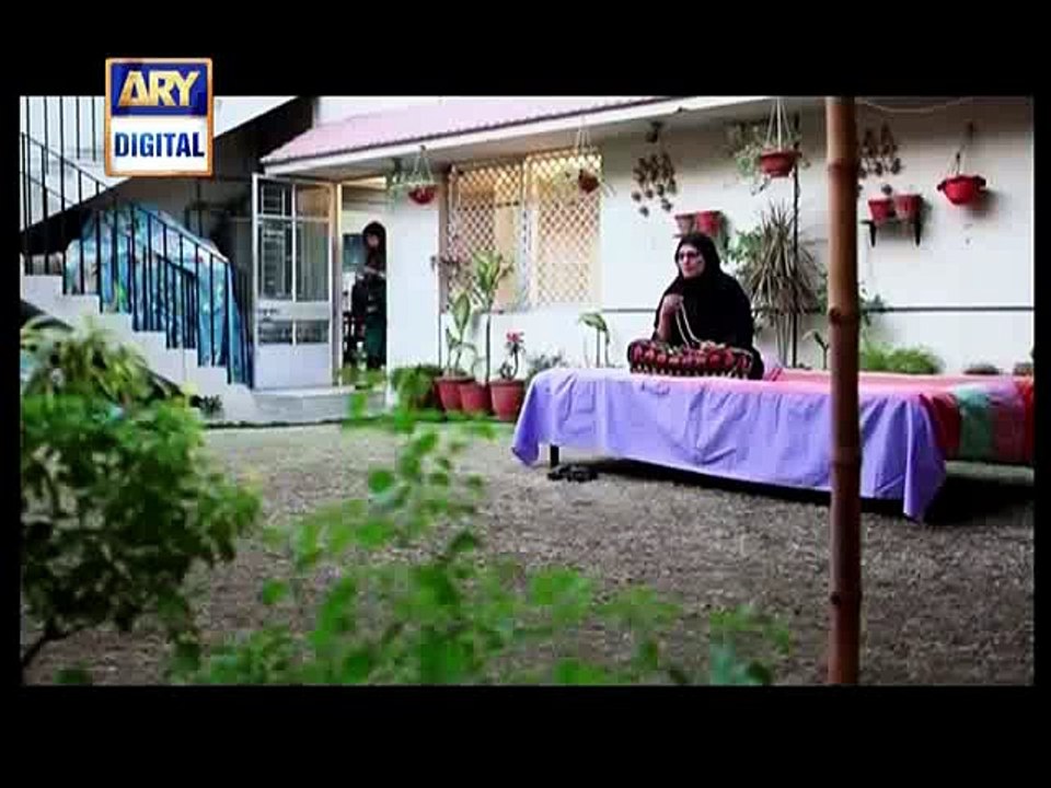 Dil-e-Barbaad Episode 204 on Ary digital