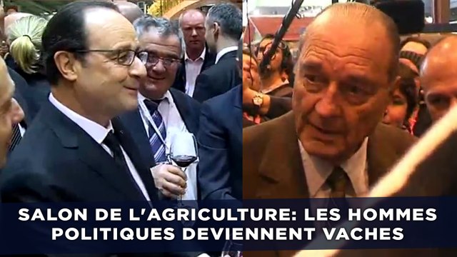 Punchlines du salon de l'agriculture