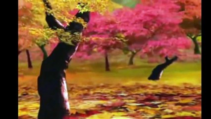 Le Corbeau et le Renard-histoire pour les enfants (arabe)
