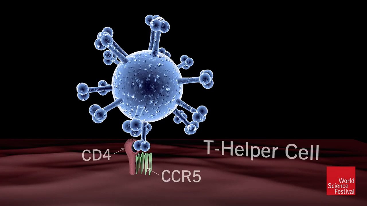 A Protein Against HIV