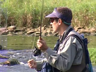 La Loue et ses ombres