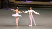 Viktoria Tereshkina, Vladimir Shklyarov - The Sleeping Beauty - Wedding Pas de Deux