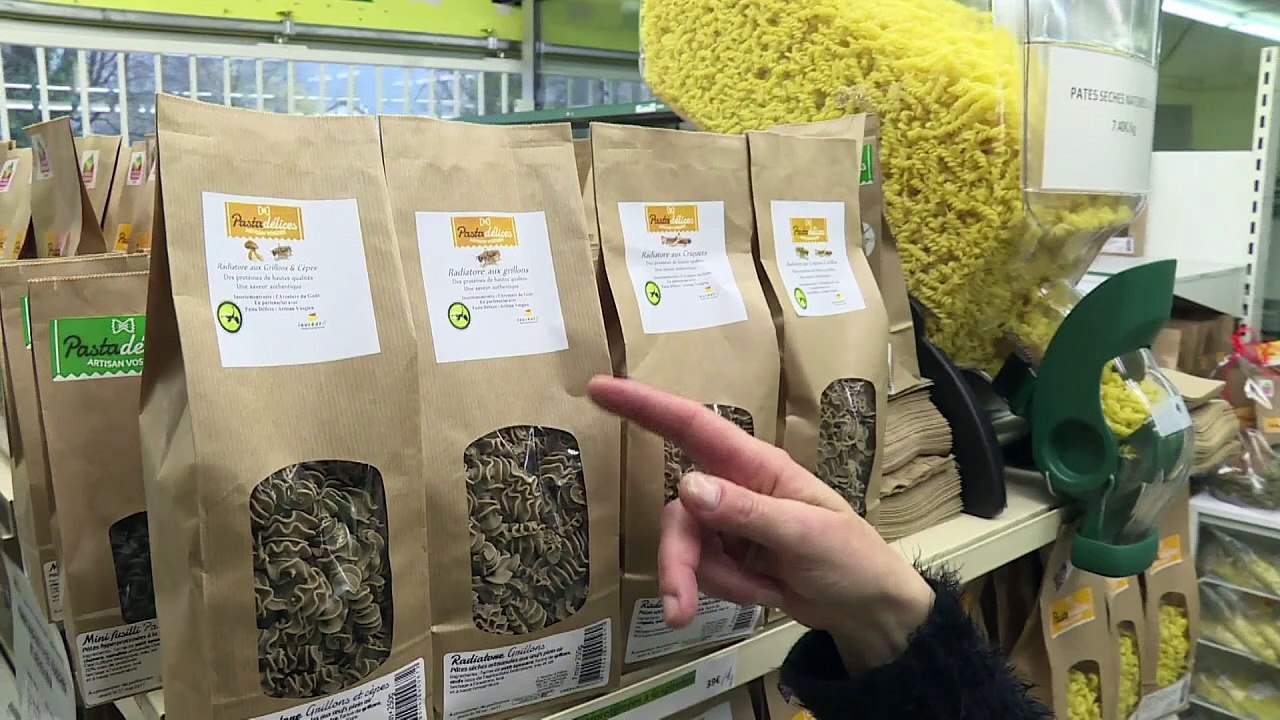 Grashüpfer-Pasta: Insekten-Nudeln begeistern Franzosen