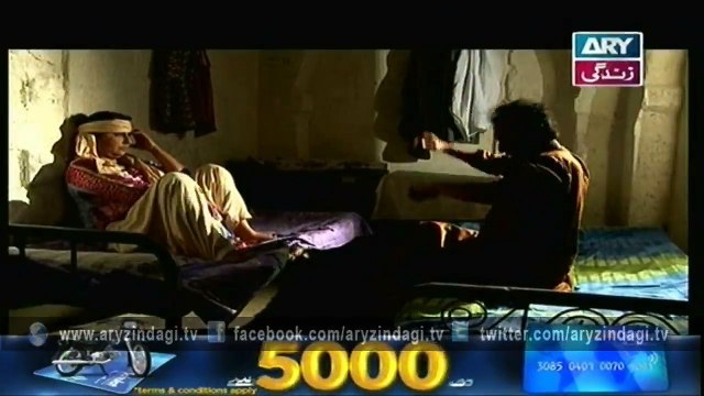 Mehmoodabad Ki Malkain Ep - 14 - 23rd February 2016