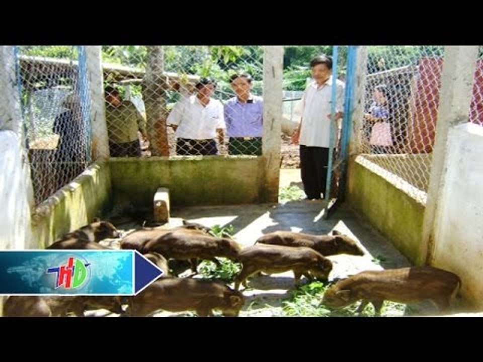 Nhân rộng mô hình sản xuất kinh doanh giỏi | HDTV