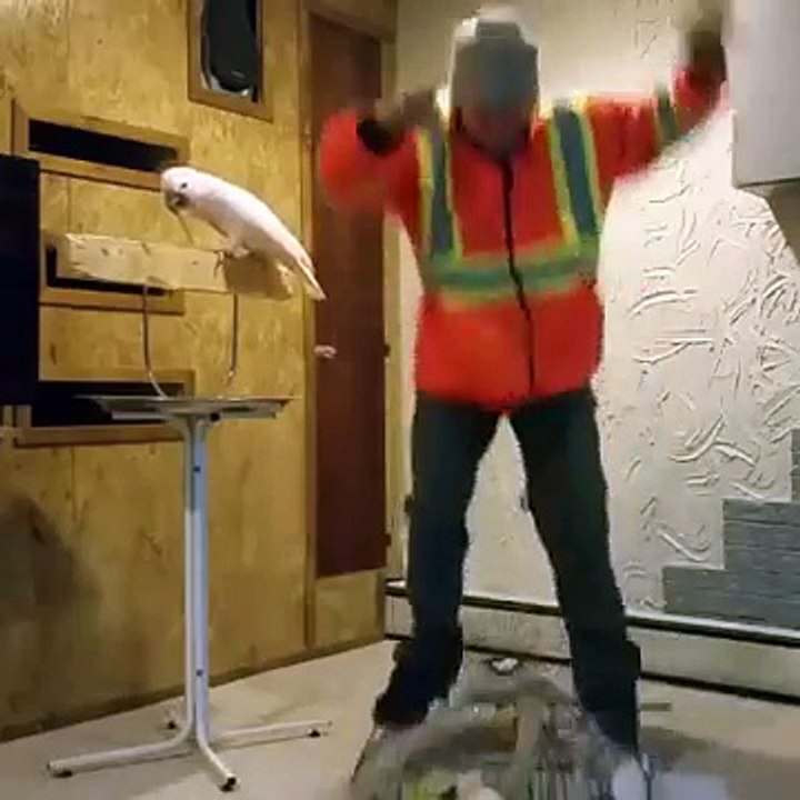 MrTechnicalDifficult - Dont f-ck with this birds cage...