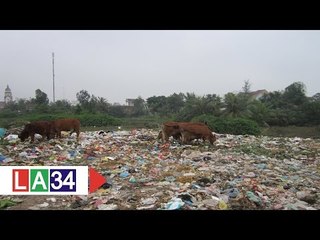 Rác thải tràn lan, môi trường "kêu cứu" | LATV
