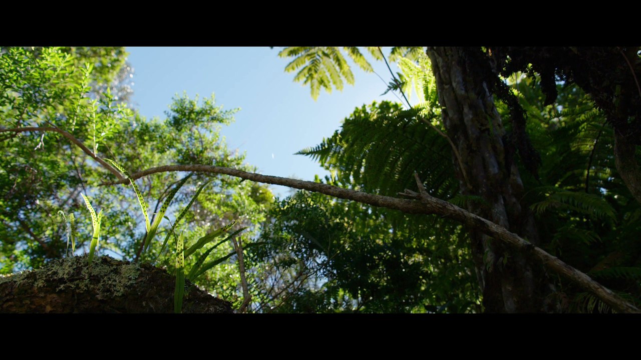 Tomorrow / Demain (2015) - Trailer (English Subs)