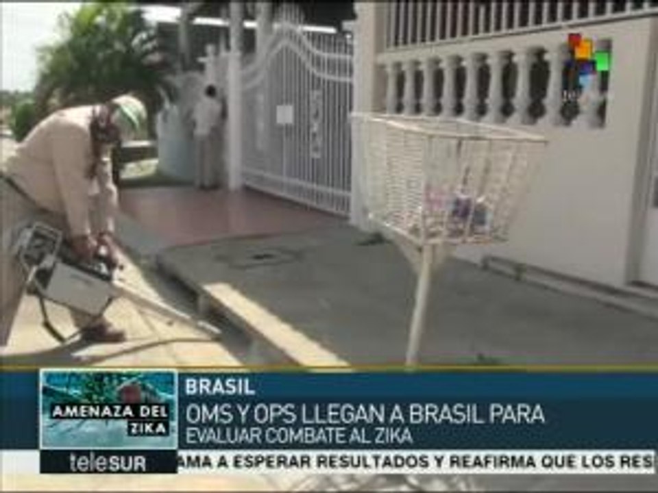 OMS llega a Brasil para evaluar acciones contra el Zika