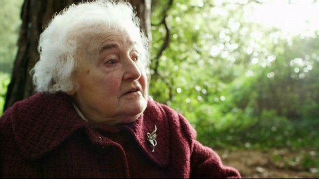 La vie secrète des chiens