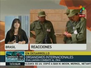 OMS y OPS evaluarán en Brasil cómo se combate al Zika