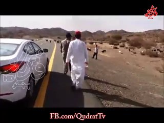 Mashallah this valley Halima Sadia Allah SAW. And be close to sau