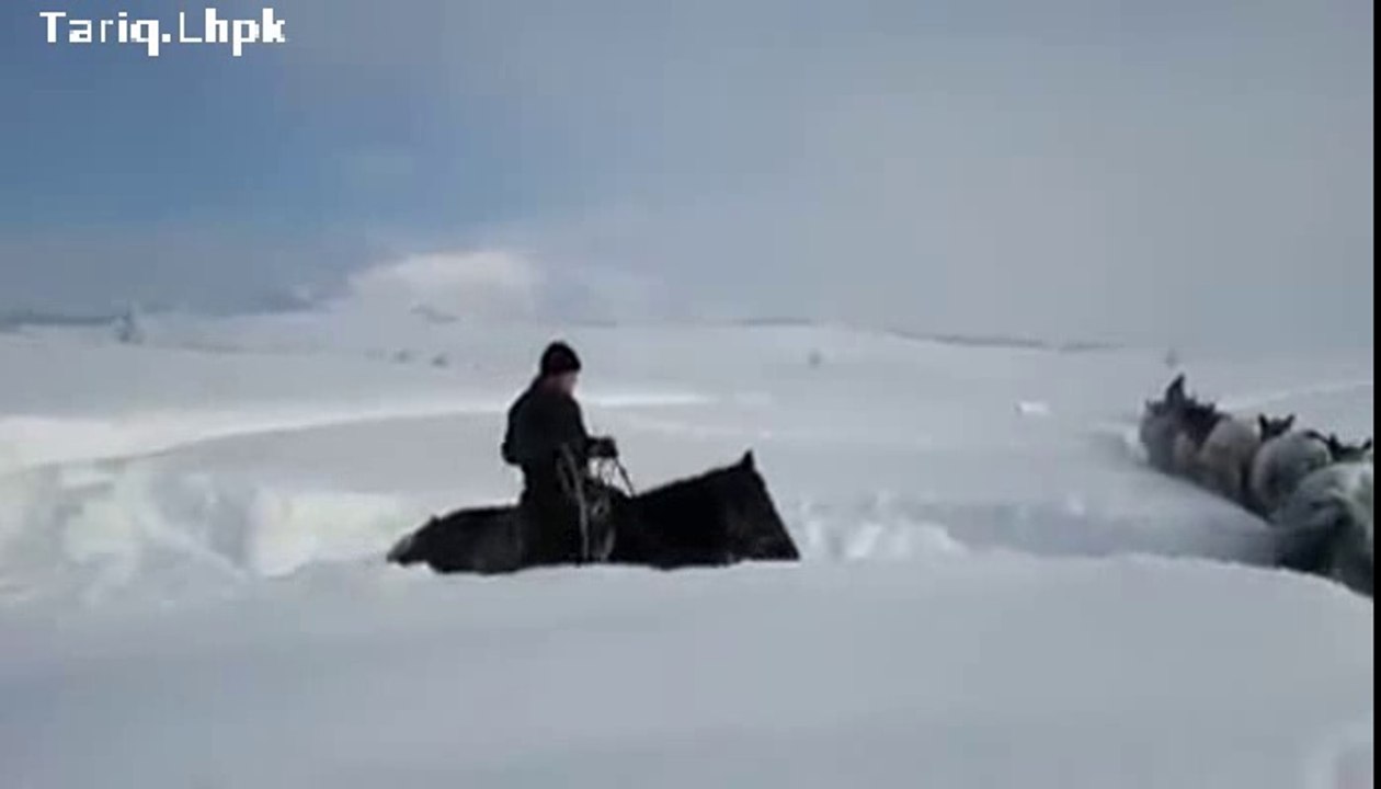 COOL WAYS