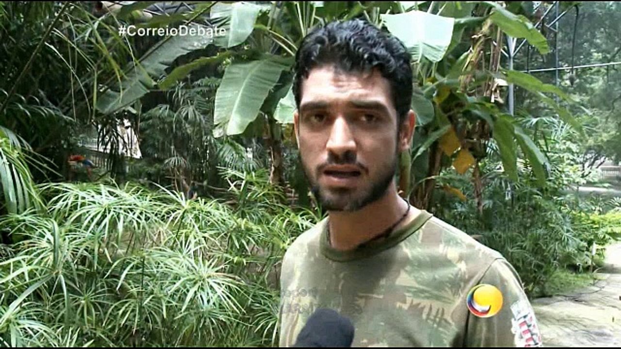 Correio Debate As Jacucacas SÃo Aves Mais Comuns Na Caatinga E Matas