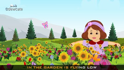 Edewcate english rhymes - Fly, fly, fly the butterfly