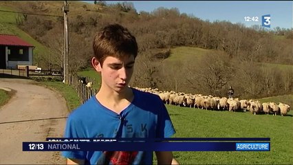 Élevage : la profession continue de susciter des vocations