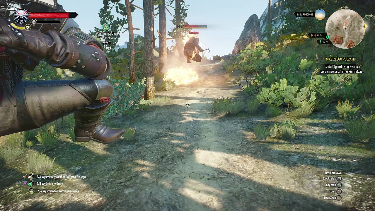 The Witcher 3 Overkill trophy attempt and WTF ?!?!