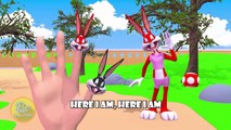 Bugs Bunny Finger Family | Nursery Rhymes | 3D Animation In HD From Binggo Channel