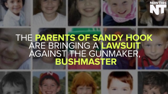 The Families Of Sandy Hook Victims Are Suing The Manufacturer Of The Gun Used By Adam Lanza